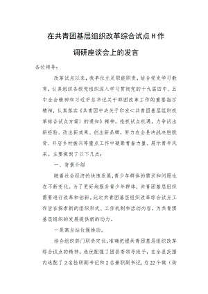 在共青团基层组织改革综合试点工作调研座谈会上的发言.docx
