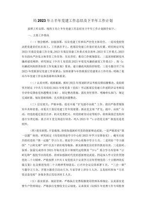 局2023年上半年党建工作总结及下半年工作计划.docx