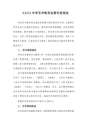 中学艺术教育发展年度报告.docx