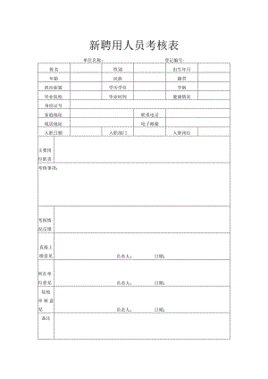 新聘用人员考核表.docx