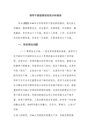 领导干部进修班党性分析报告范文2篇.docx