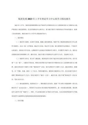 集团党委2023年上半年理论学习中心组学习情况报告.docx