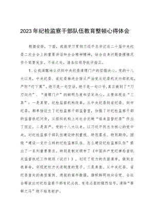 关于2023年纪检监察干部队伍教育整顿活动的心得体会两篇样本.docx