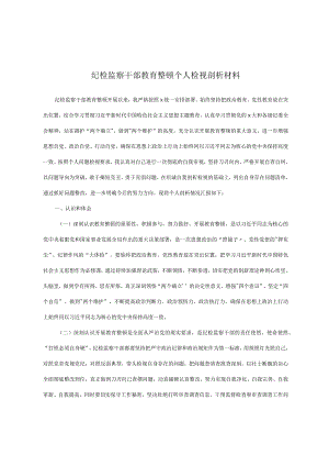 纪检监察干部教育整顿个人检视剖析材料.docx