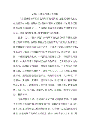 2023年环境治理工作简报.docx
