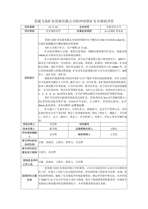 芜湖飞尚矿业发展有限公司阳冲锌铁矿安全现状评价.docx