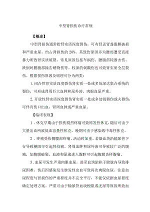 中型肾损伤诊疗常规.docx