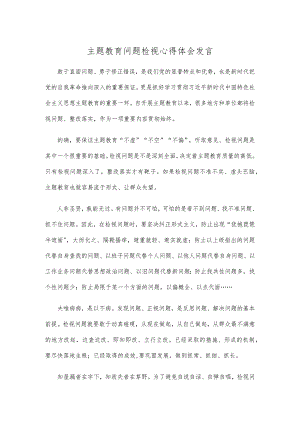 主题教育问题检视心得体会发言.docx