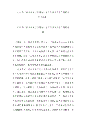 2023年“以学铸魂 以学增智 以学正风 以学促干”剖析材料(二篇).docx