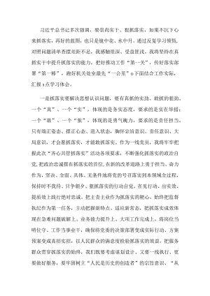 “抓落实促发展”研讨会发言：永葆真抓的实劲 深抓的钻劲 细抓的干劲.docx