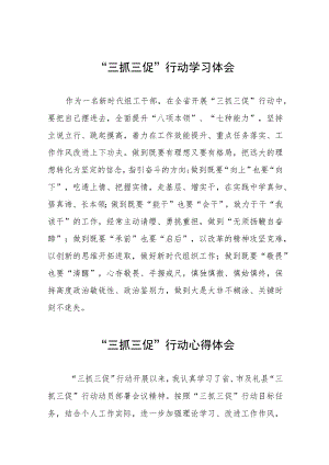 干部关于落实三抓三促行动学习体会八篇.docx