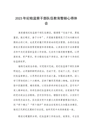 2023全国纪检监察干部队伍教育整顿教育活动的心得体会7篇.docx