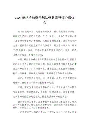 2023年纪检监察干部队伍教育整顿心得体会感悟七篇样本.docx