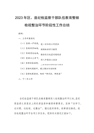 2023年区、县纪检监察干部队伍教育整顿检视整治环节阶段性工作总结.docx