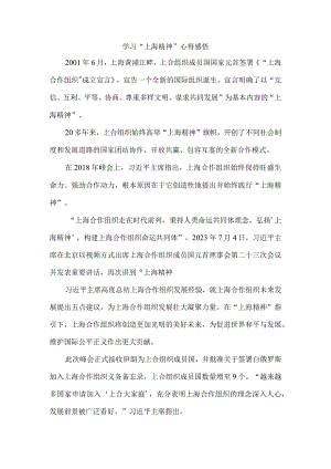 学习“上海精神”心得感悟.docx