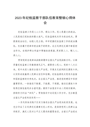 “2023年纪检监察干部队伍教育整顿”的心得体会七篇.docx