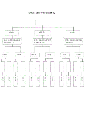应急化管理指挥体系.docx