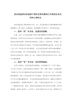 2023县纪委监委纪检监察干部队伍教育整顿工作推进会发言材料心得体会范文精选（3篇）.docx