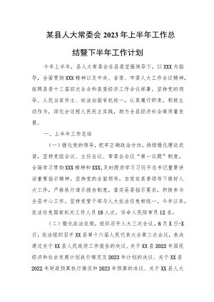 某县人大常委会2023年上半年工作总结暨下半年工作计划.docx