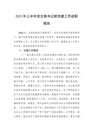 2023年上半年党支部书记抓党建工作述职报告.docx