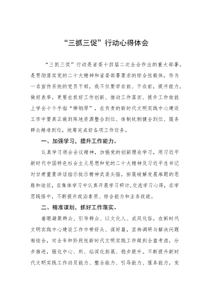 2023年党员关于落实“三抓三促”心得体会八篇.docx