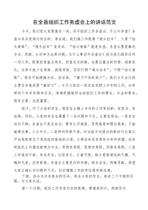 全县组织工作务虚会议讲话.docx