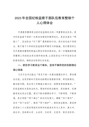 2023纪检监察干部队伍教育整顿心得体会模板七篇.docx