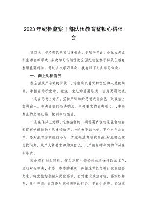 《2023年纪检监察干部队伍教育整顿》心得体会发言材料两篇合集.docx