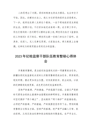 全国纪检监察干部队伍教育整顿心得体会七篇.docx