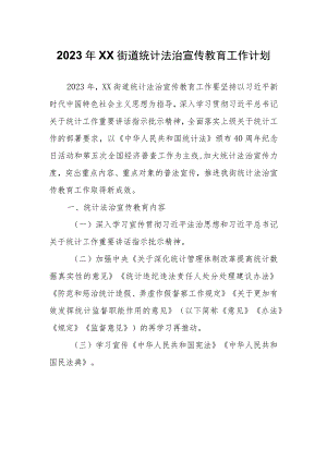 2023年XX街道统计法治宣传教育工作计划.docx