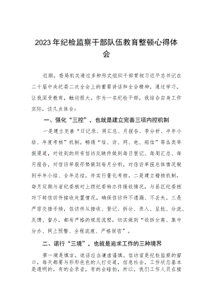 (最新范文)2023年纪检监察干部队伍教育整顿心得体会两篇样本.docx