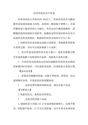 轻型肾损伤诊疗常规.docx