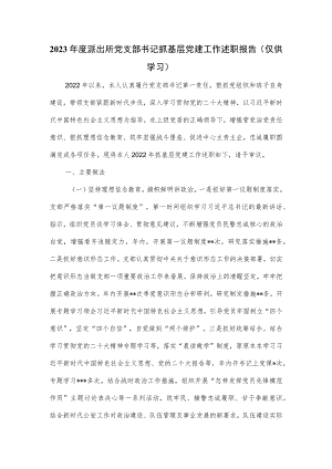 2023年度派出所党支部书记抓基层党建工作述职报告.docx