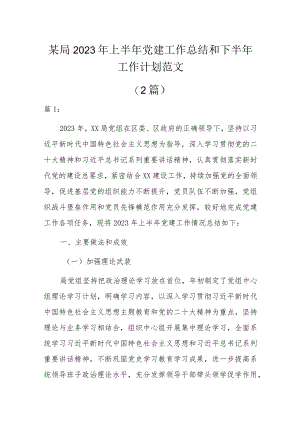 某局2023年上半年党建工作总结和下半年工作计划范文2篇.docx