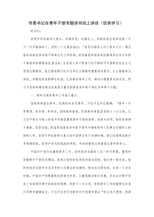 市委书记在2023青年干部专题读书班上讲话.docx