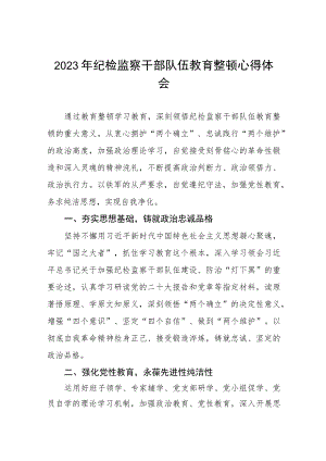 2023纪检监察干部队伍教育整顿心得体会感悟七篇.docx