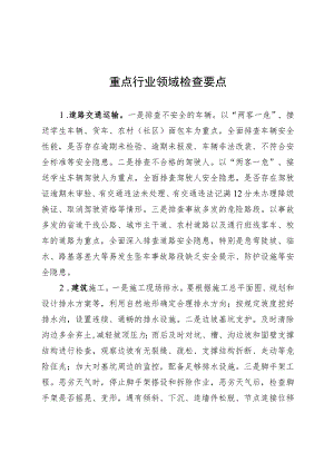 重点行业领域检查要点.docx