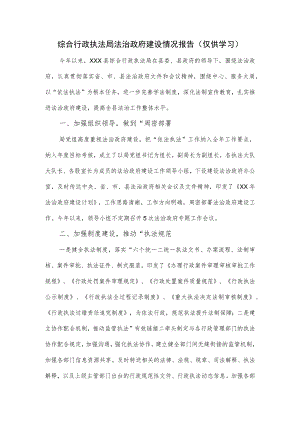 综合行政执法局法治政府建设情况报告.docx
