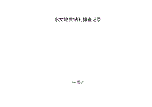 水文地质钻孔排查记录.docx