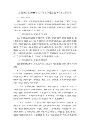 县委办公室2023年上半年工作总结及下半年工作安排.docx
