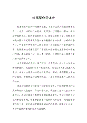 红旗渠精神学习感悟十篇.docx