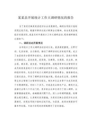 某某县开展统计工作大调研情况的报告.docx