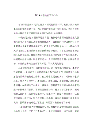 2023主题教育学习心得.docx