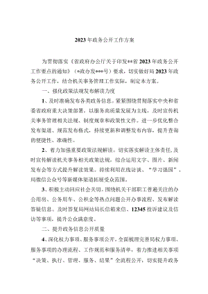 2023年政务公开工作方案.docx