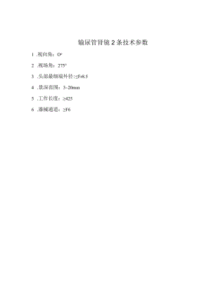 输尿管肾镜2条技术参数.docx