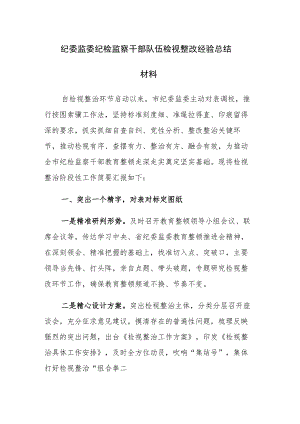 2023年纪委监委纪检监察干部队伍检视整改经验总结材料范文.docx