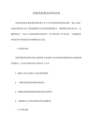 反组织犯罪法培训总结.docx