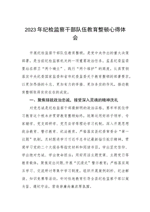 (最新版)2023年全国纪检监察干部队伍教育整顿个人心得体会两篇范文.docx