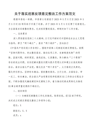 巡察反馈意见整改工作实施方案问题.docx