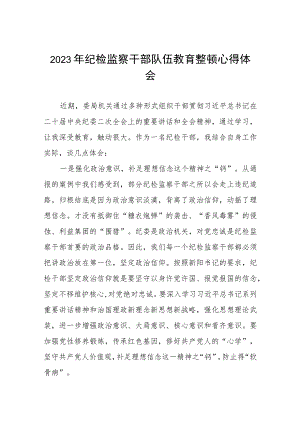 2023纪检监察干部队伍教育整顿活动心得体会发言材料两篇.docx